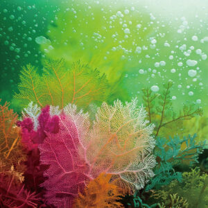 【2026SSカラートレンド】SURREAL SYNAPSE – 超現実的シナプス ②