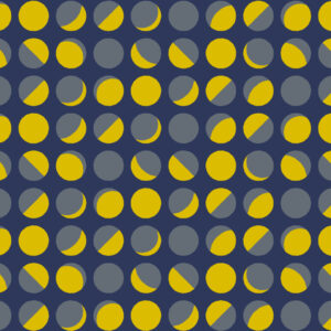 【和の図案 秋】「46_taiinreki」太陰暦
