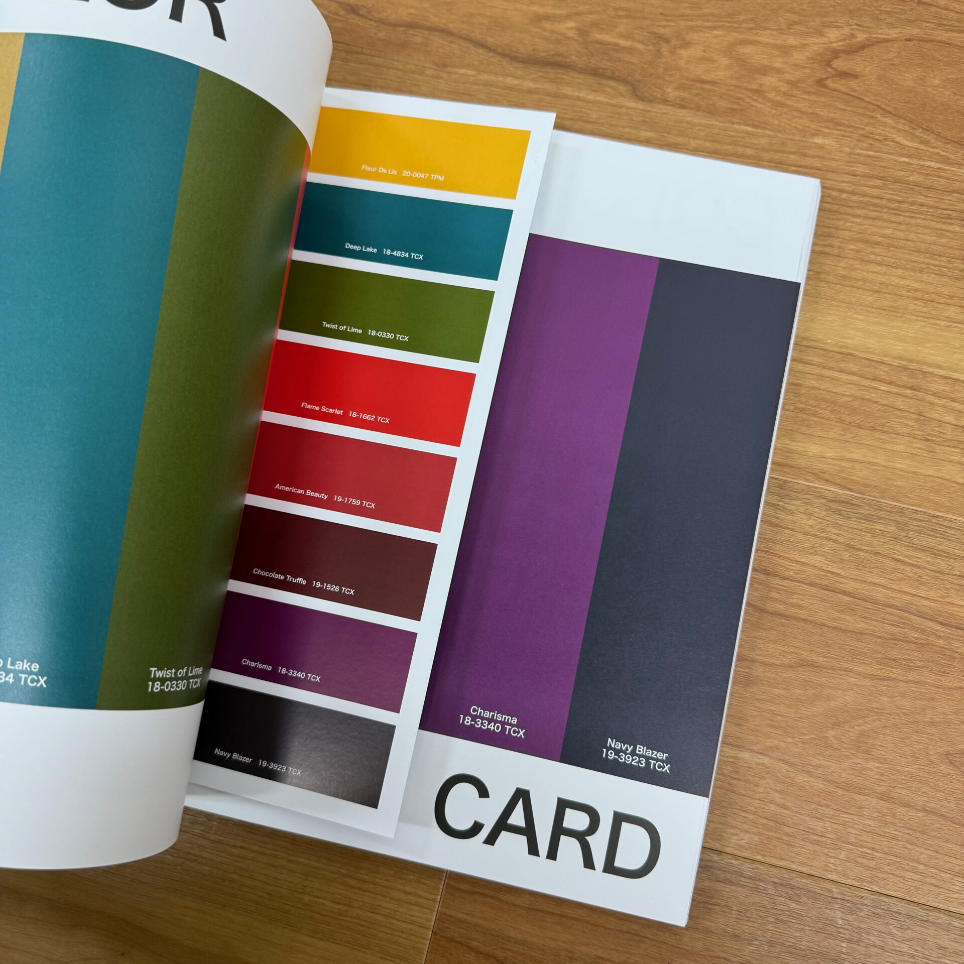 VIEWPOINT COLOR MAGAZINE