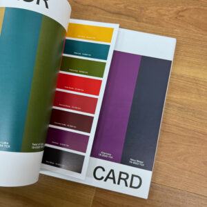VIEWPOINT COLOR MAGAZINE