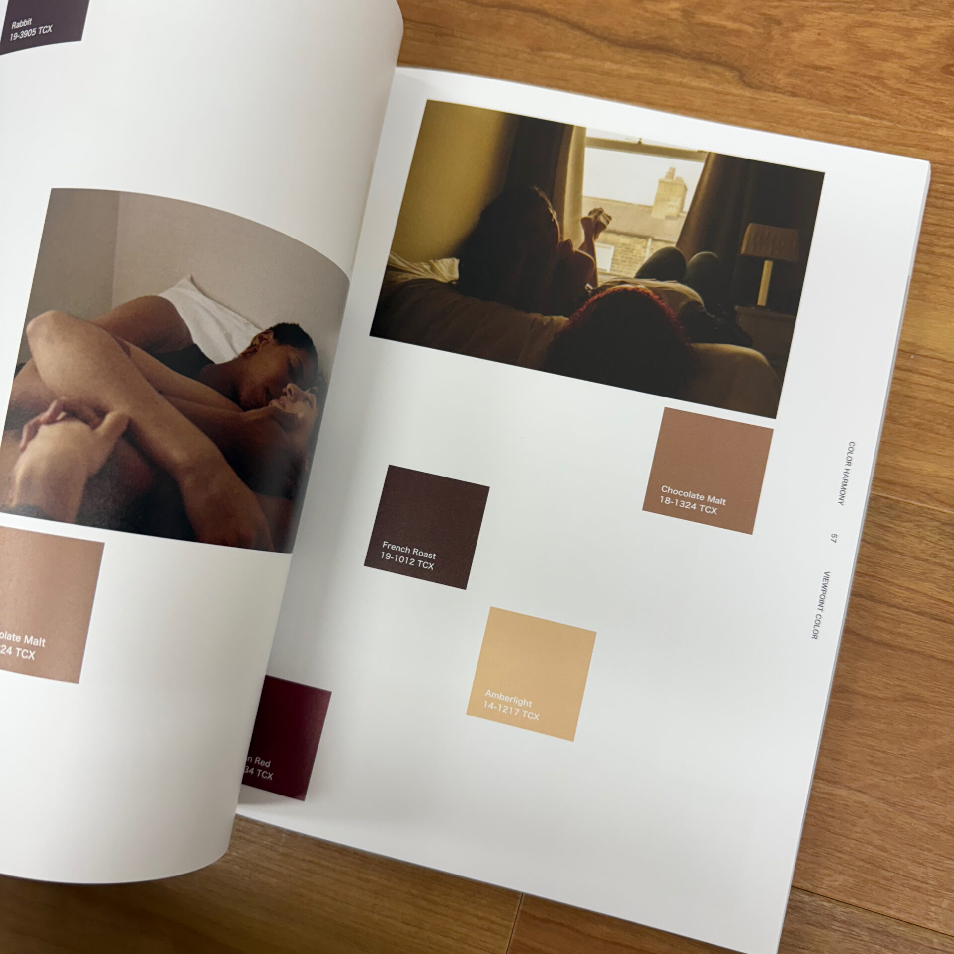 VIEWPOINT COLOR MAGAZINE