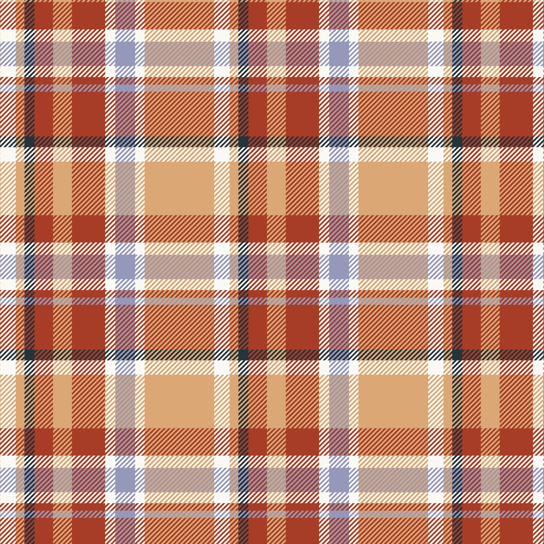 【Pattern Collection 1 Check】「check_036」