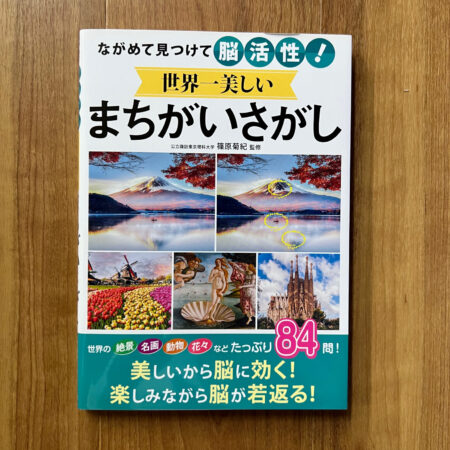 世界一美しいまちがいさがし