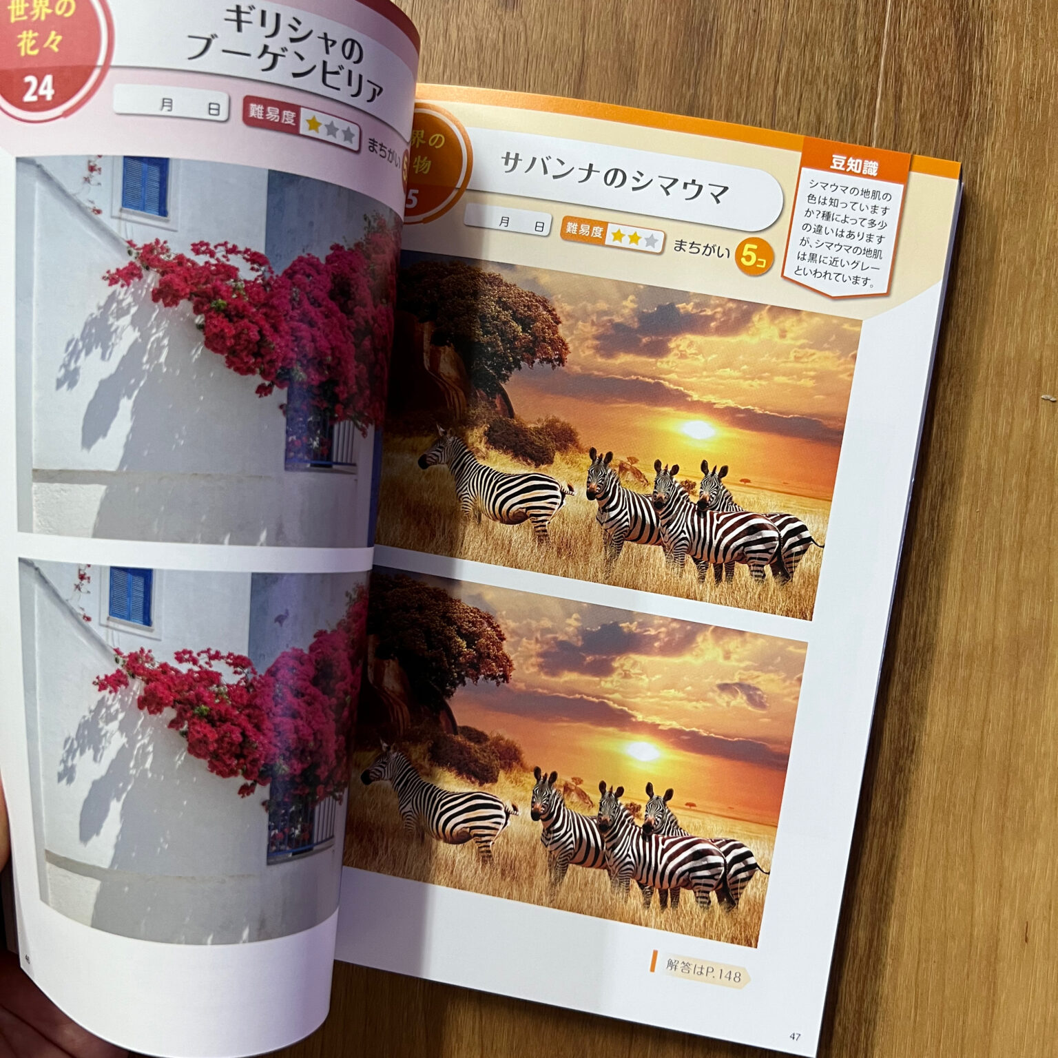 世界一美しいまちがいさがし