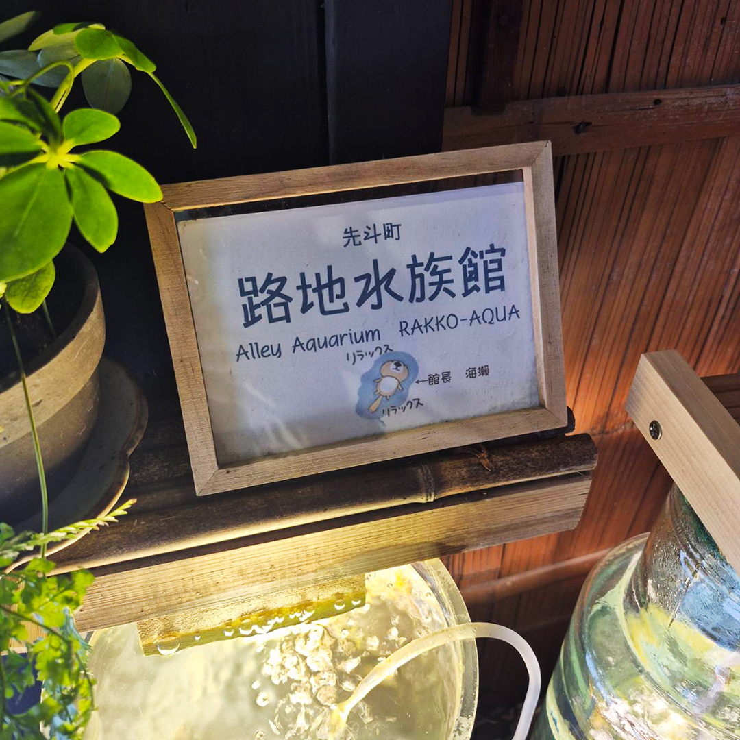 京都　路地水族館