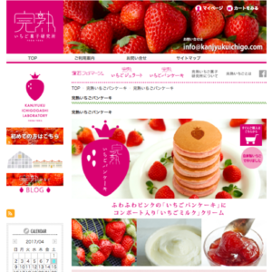 完熟いちご菓子研究所 ECサイトデザイン