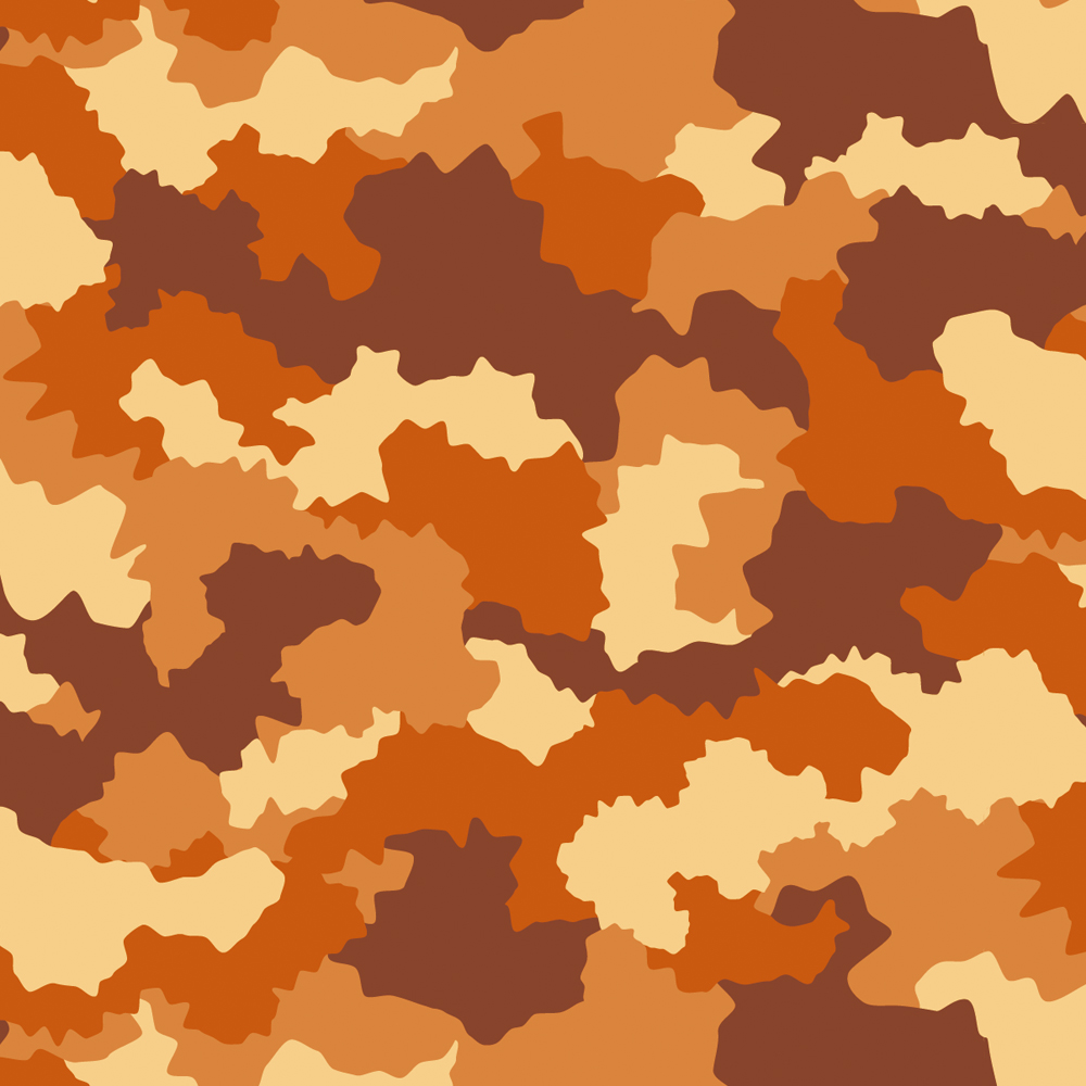 camouflage2