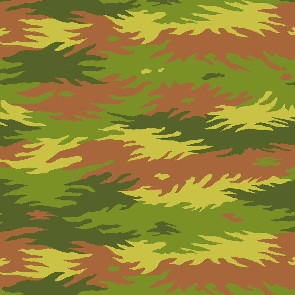 camouflage3